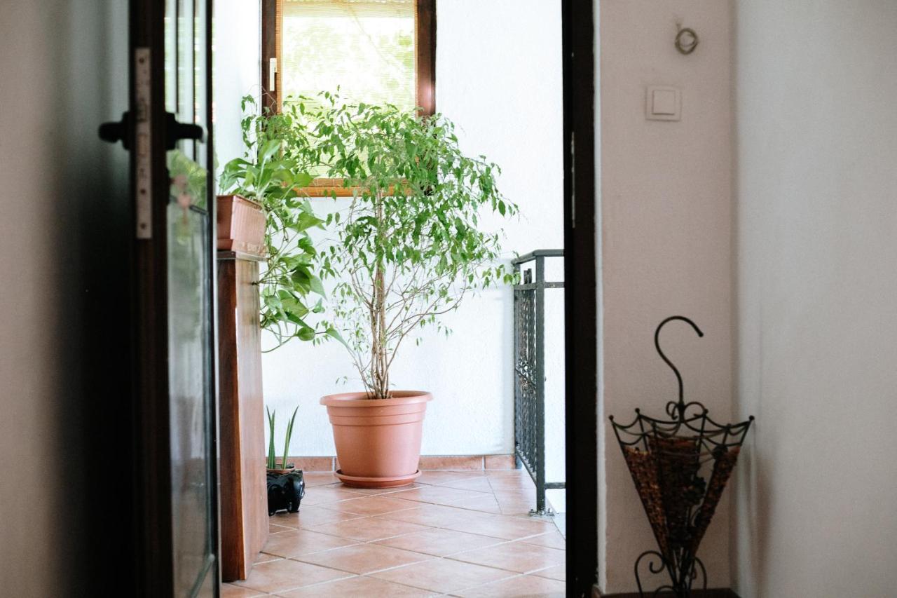 Apartment Ikar Mostar Bagian luar foto